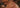Lorem Ipsum